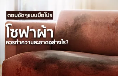 ตอบชัดๆ แบบมือโปร! “โซฟาผ้า” ควรทำความสะอาดอย่างไร?