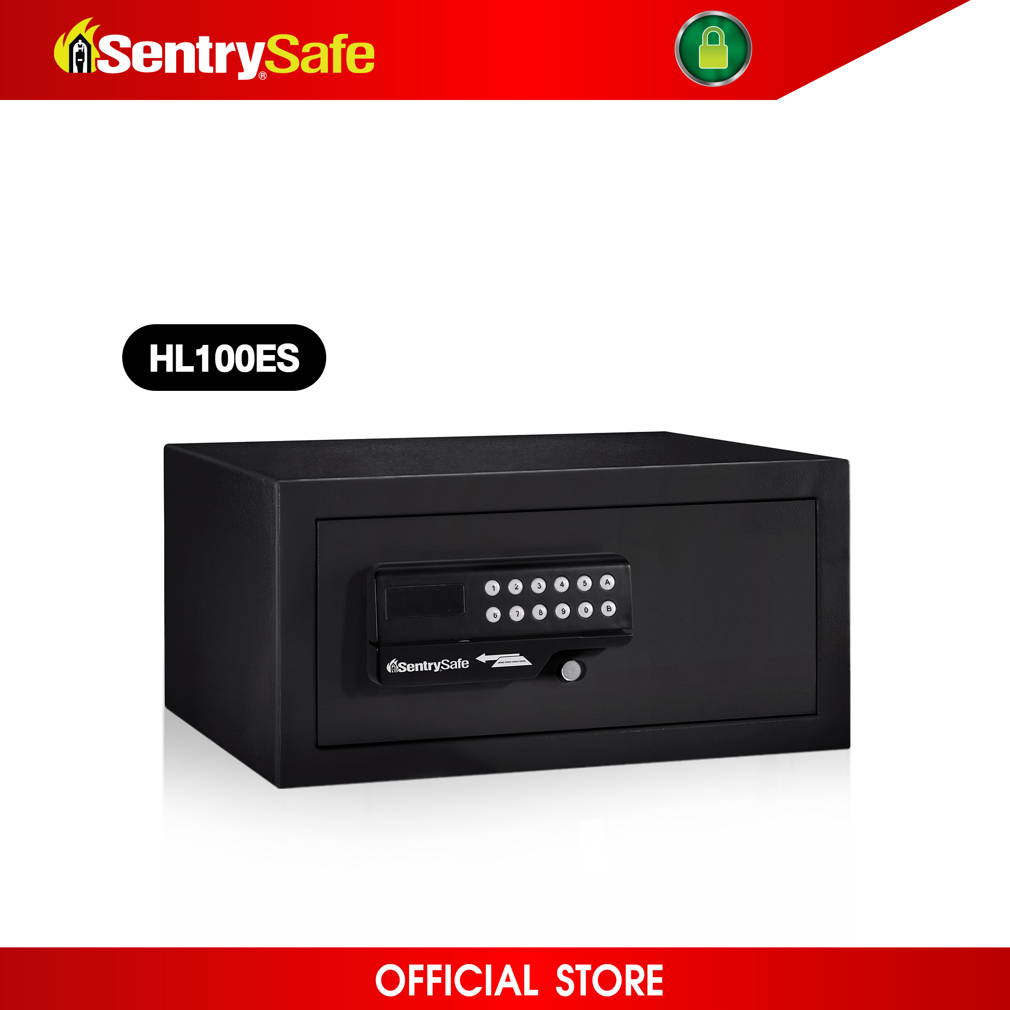 HL100ES Card Swipe Safe