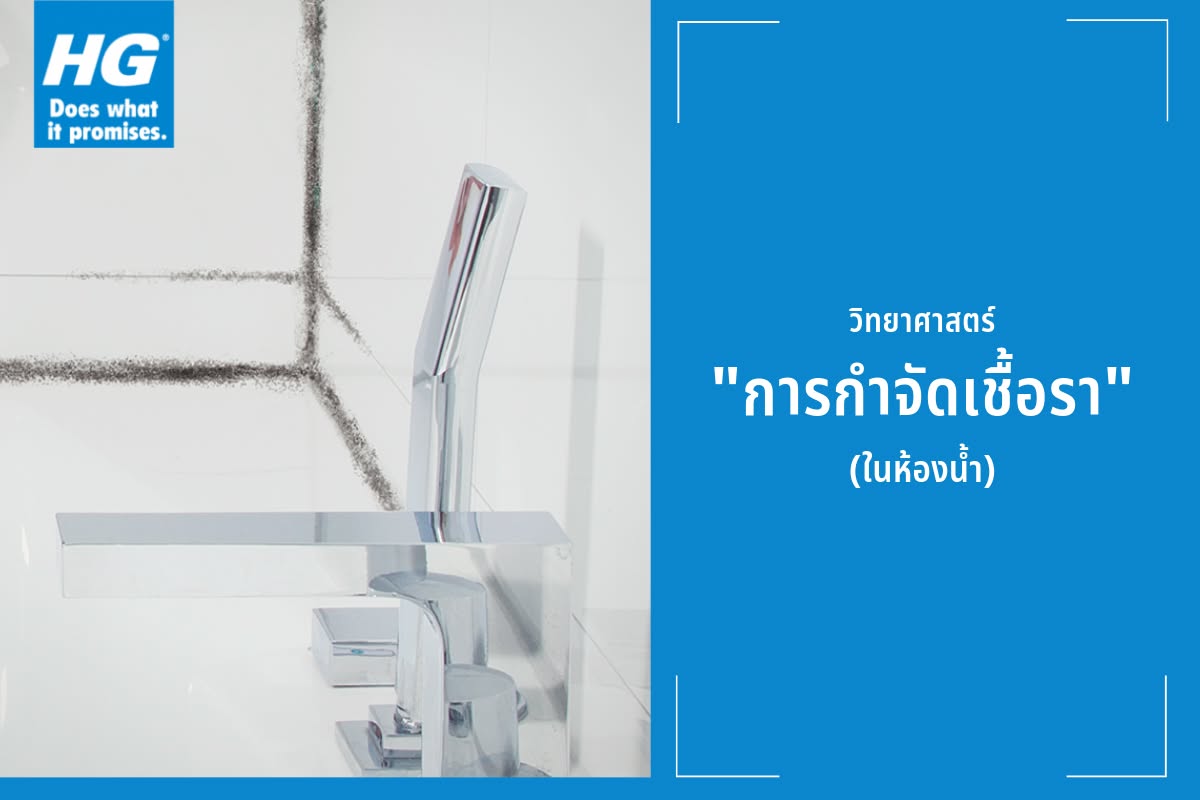 วิทยาศาสตร์กับการ “กำจัดเชื้อรา” (ในห้องน้ำ)