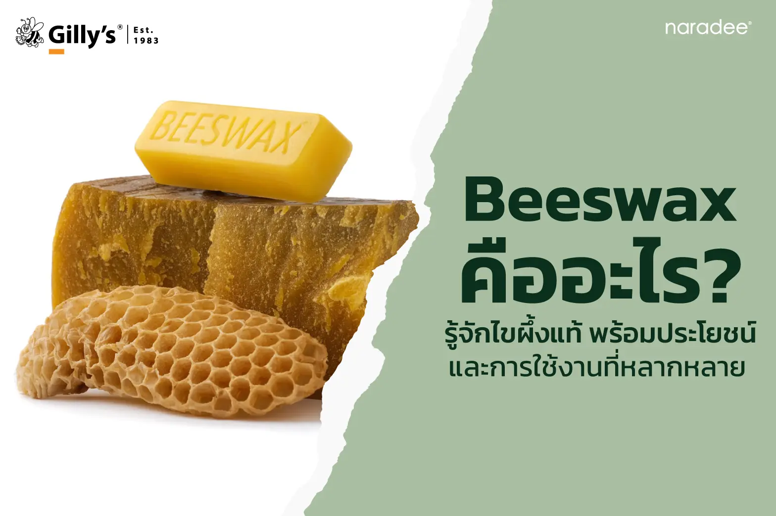 Beeswax คืออะไร? รู้จักไขผึ้งแท้ พร้อมประโยชน์และการใช้งานที่หลากหลาย