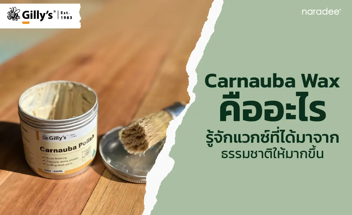 Carnauba Wax คืออะไร รู้จักแวกซ์ที่ได้มาจากธรรมชาติให้มากขึ้น