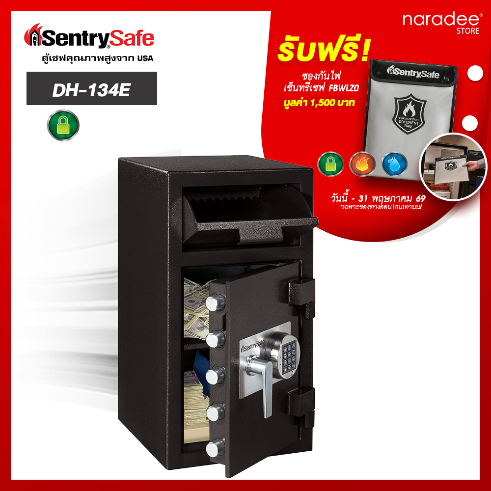 DH-134E  Cashier Safe - Digital